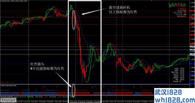 国外超有名的黑钻石系统,免费分享给大家