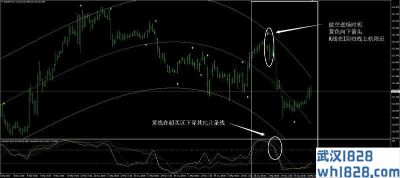 毒蛇外汇交易系统下载